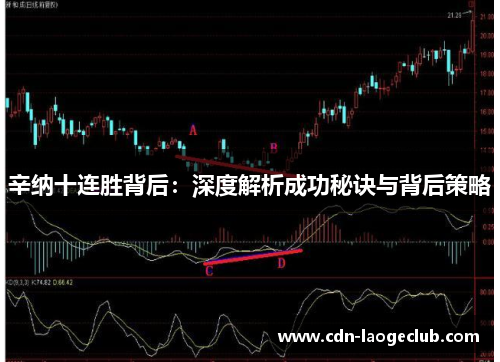 辛纳十连胜背后：深度解析成功秘诀与背后策略