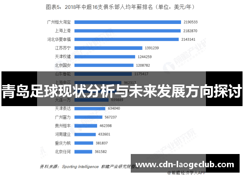 青岛足球现状分析与未来发展方向探讨