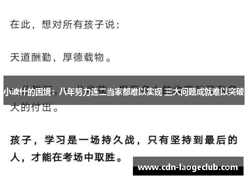 小波什的困境：八年努力连二当家都难以实现 三大问题成就难以突破