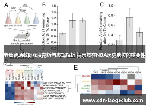 老詹赛场数据深度剖析与表现解析 揭示其在NBA历史地位的重要性