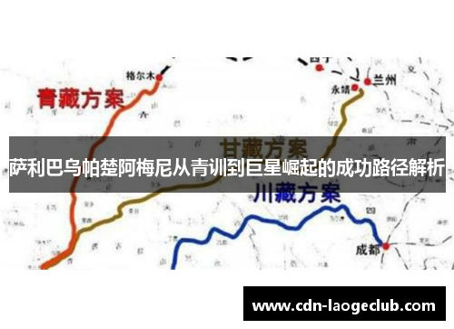 萨利巴乌帕楚阿梅尼从青训到巨星崛起的成功路径解析