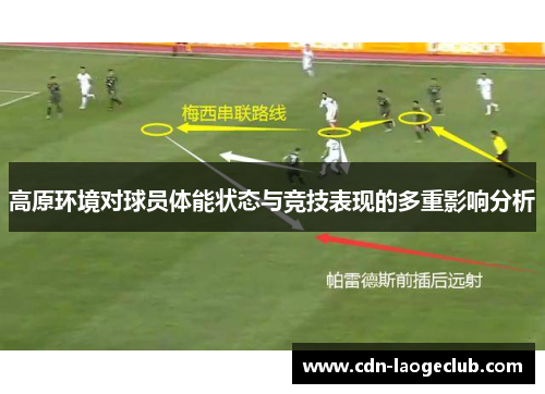 高原环境对球员体能状态与竞技表现的多重影响分析