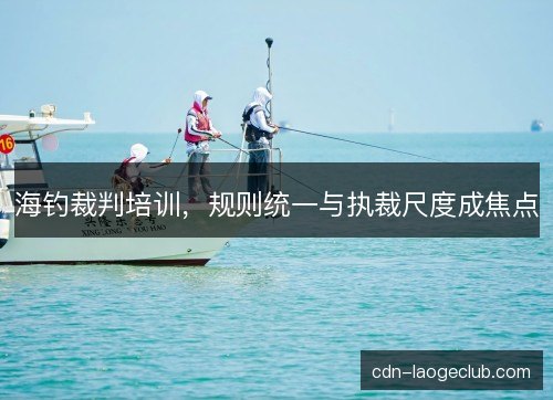 海钓裁判培训，规则统一与执裁尺度成焦点